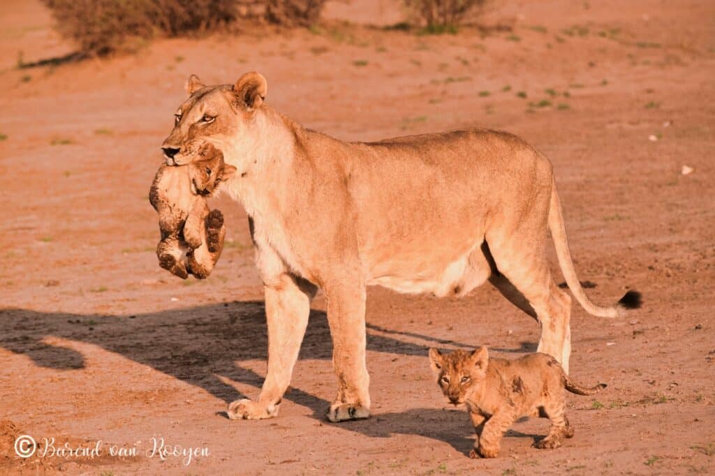 Botswana